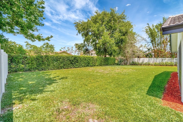 view of yard