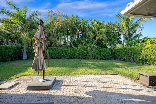 view of green lawn featuring a patio area