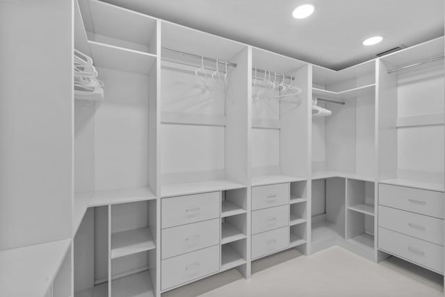 view of spacious closet