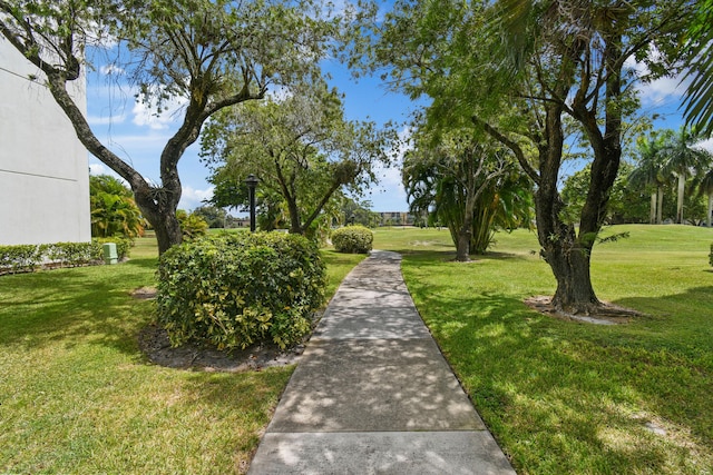 view of community with a yard