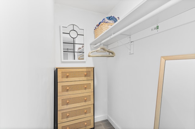 view of walk in closet