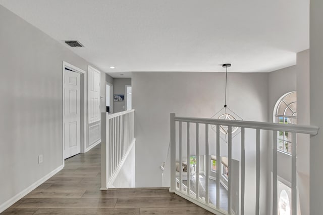 12774 Spikerush Cir, Boca Raton, FL 33428 - hallway featuring wood finished floors, plenty of natural light, an upstairs landing, and visible vents