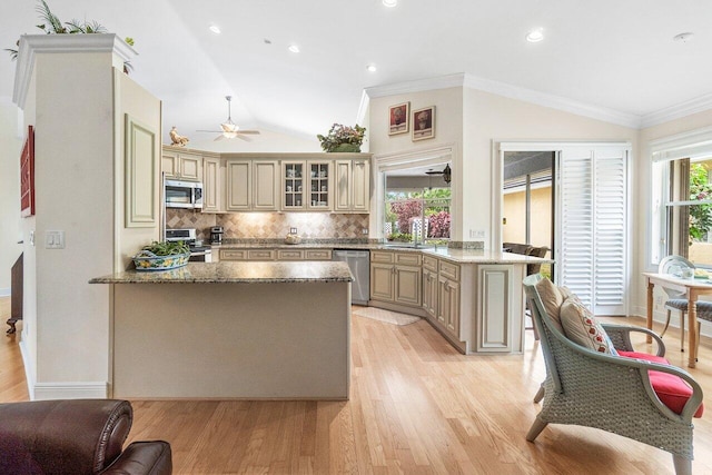 kitchen featuring a peninsula, stainless steel appliances, lofted ceiling, and a healthy amount of sunlight
