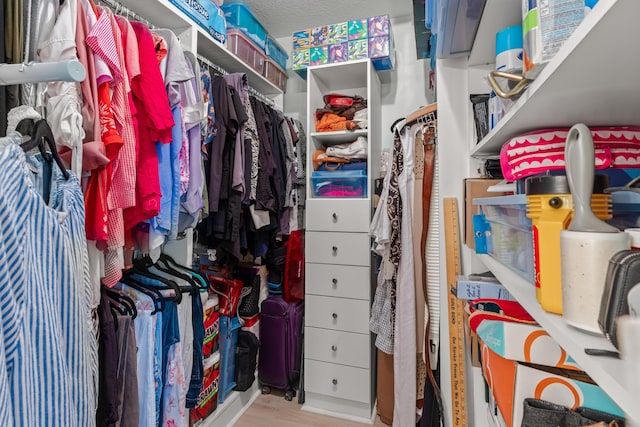 walk in closet featuring wood finished floors