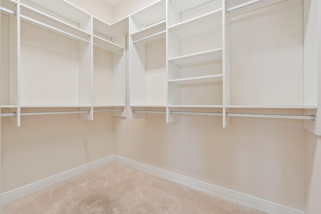 walk in closet with carpet