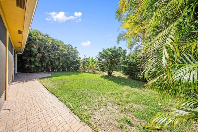 view of yard featuring a patio area
