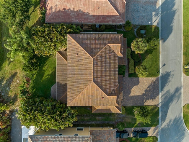 drone / aerial view