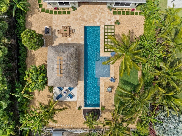 drone / aerial view