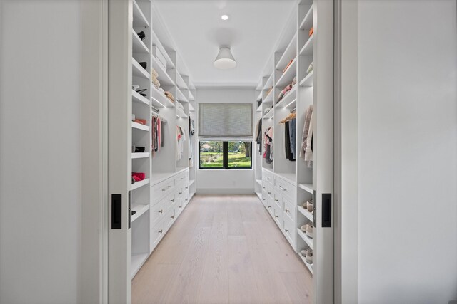 spacious closet featuring light wood-type flooring
