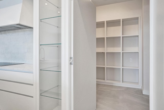 220 SE Mizner Blvd Unit Ph920, Boca Raton, FL 33432 - view of spacious closet