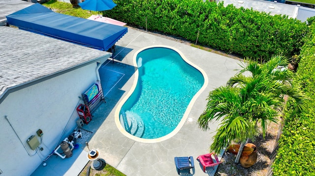 654 Bunting Dr, Delray Beach, FL 33444 - view of swimming pool featuring a patio area, a fenced in pool, and a fenced backyard