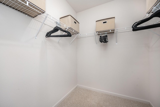 walk in closet featuring carpet