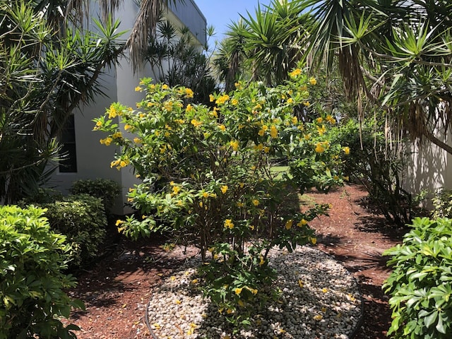 500 Piedmont K K, Delray Beach, FL 33484 - view of yard