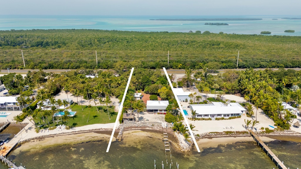 aerial view featuring a water view and a view of trees