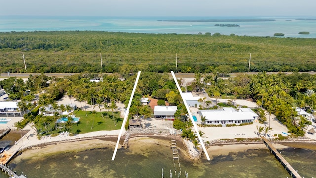 drone / aerial view featuring a water view and a view of trees