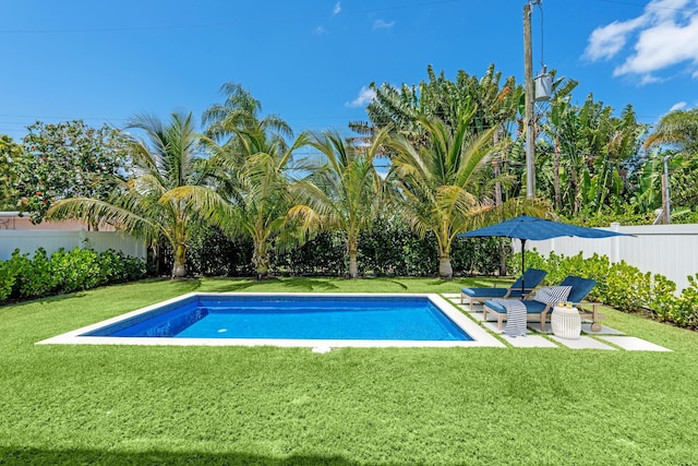 126 Auburn Dr, Lake Worth Beach, FL 33460 - view of swimming pool with a lawn, a patio area, a fenced in pool, and a fenced backyard