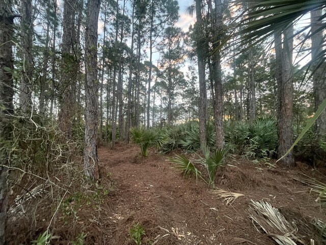 2633 Quincy Ave SE, Palm Bay, FL 32909