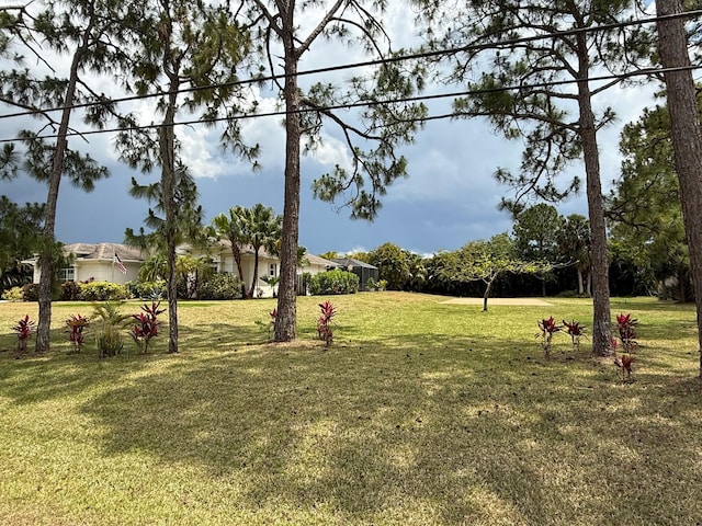 view of yard