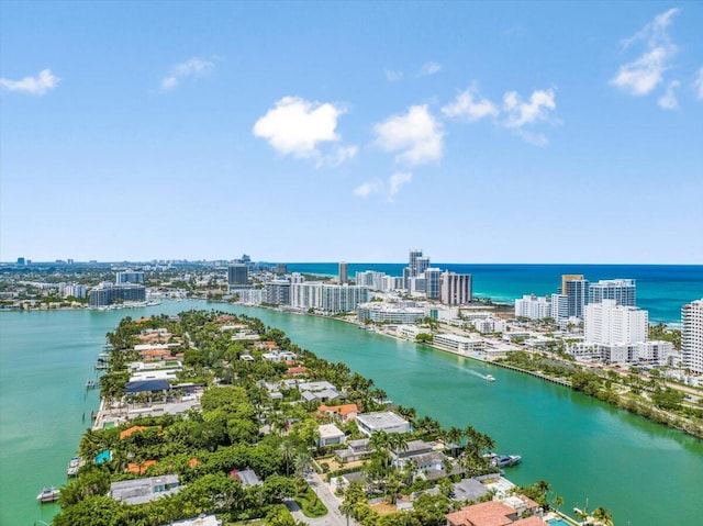 bird's eye view featuring a water view and a view of city