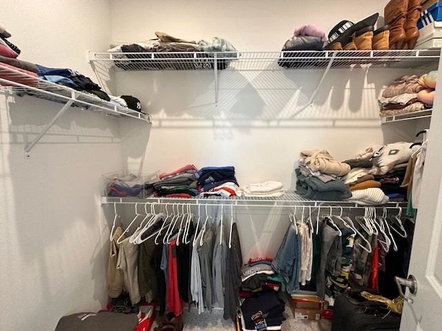10230 SW Orana Dr, Port Saint Lucie, FL 34987 - view of walk in closet