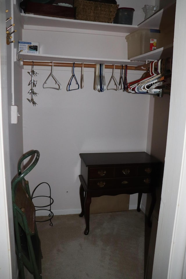 spacious closet featuring carpet