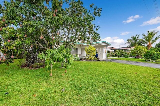 obstructed view of property featuring driveway, a front lawn, and stucco siding