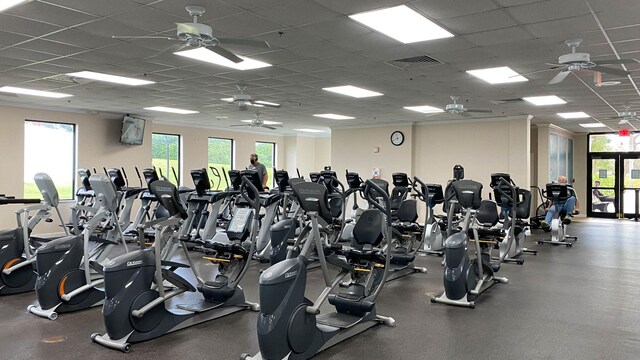 gym with healthy amount of natural light, a ceiling fan, and a drop ceiling