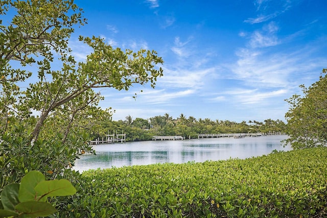 water view