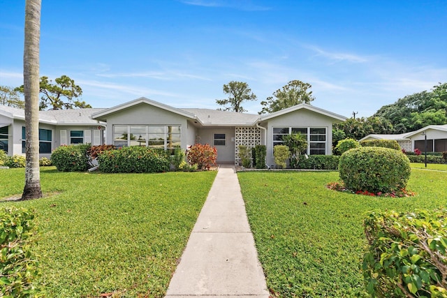 ranch-style house featuring stucco siding and a front yard