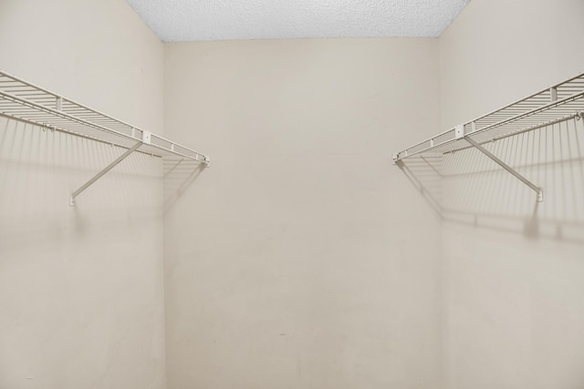 2015 Oleander Blvd Unit A, Fort Pierce, FL 34950 - view of walk in closet