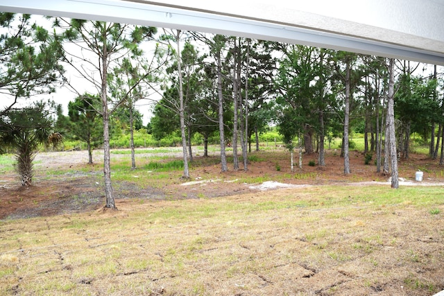 15722 NW 270th St, Okeechobee, FL 34972 - view of yard