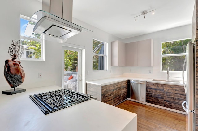 430 NE 121st St, Biscayne Park, FL 33161 - kitchen featuring a sink, stainless steel appliances, a wealth of natural light, and modern cabinets