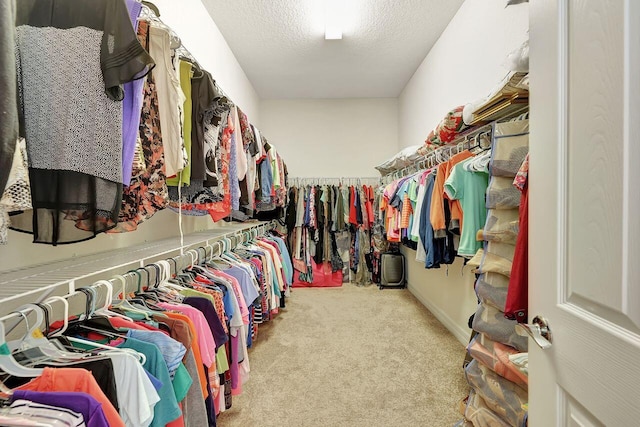 964 SW Canoe Creek Ter, Palm City, FL 34990 - walk in closet with carpet