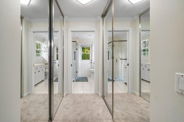 hallway featuring crown molding, a textured ceiling, light carpet, and a healthy amount of sunlight