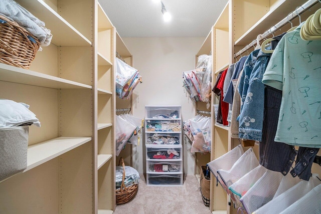 walk in closet with carpet flooring