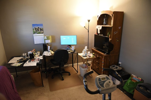 9170 NW 21st Mnr, Sunrise, FL 33322 - view of carpeted office