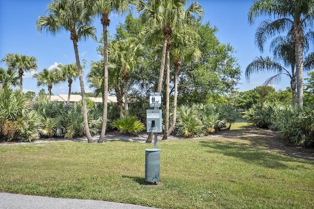 view of community featuring a lawn