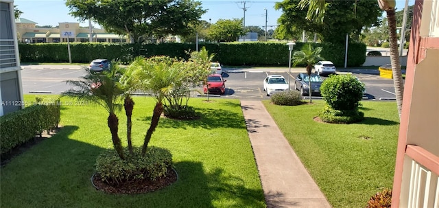 17 Brighton A 17, Boca Raton, FL 33434 - view of grassy yard