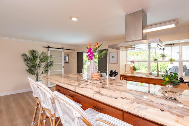 kitchen featuring crown molding, island range hood, a barn door, and light wood finished floors