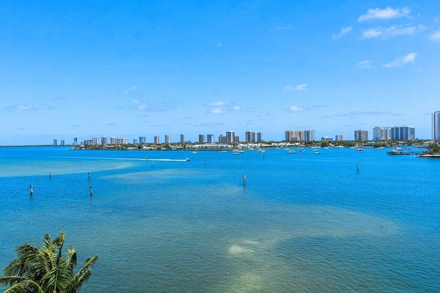 2640 Lake Shore Dr Unit 614, Riviera Beach, FL 33404 - water view featuring a skyline view