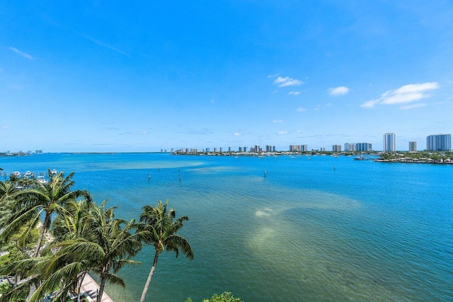 2640 Lake Shore Dr Unit 614, Riviera Beach, FL 33404 - water view with a view of skyline