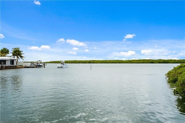 3215 S Lakeview Cir Unit 12104, Hutchinson Island, FL 34949 - water view with a boat dock