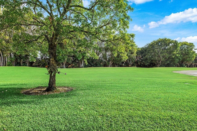 view of green lawn with view of scattered trees and view of golf course