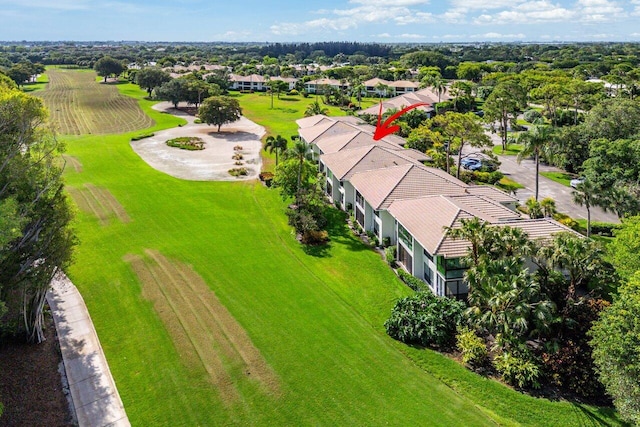 bird's eye view