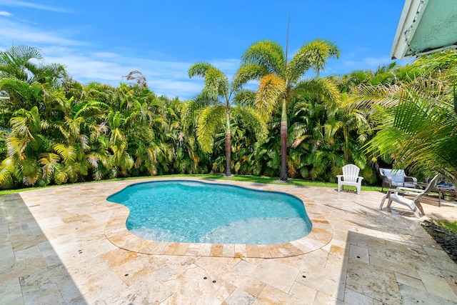 swimming pool with a patio area