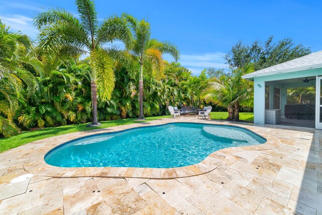 outdoor pool featuring a patio and a ceiling fan