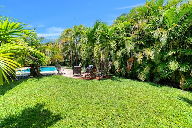 view of grassy yard with a patio area and an outdoor pool