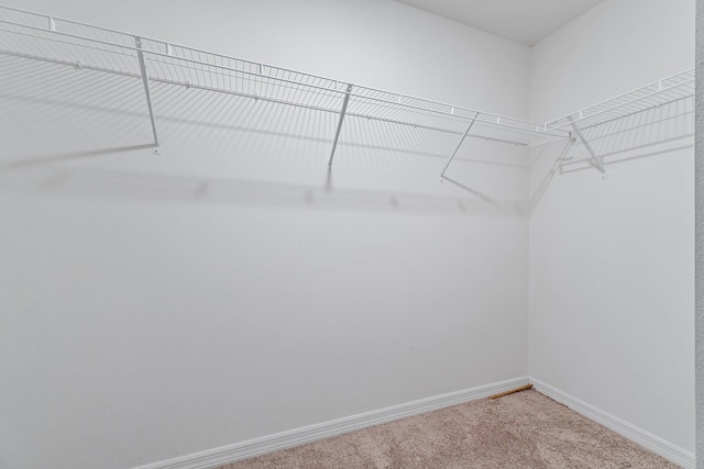 spacious closet with carpet