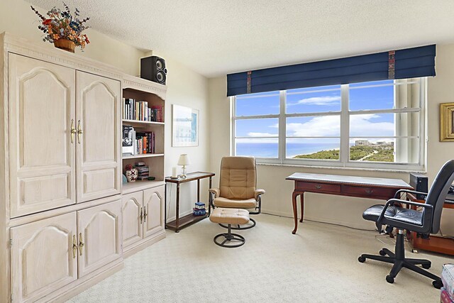 2121 N Ocean Blvd Unit 1707E, Boca Raton, FL 33431 - carpeted home office featuring a textured ceiling
