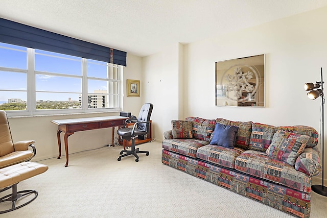 2121 N Ocean Blvd Unit 1707E, Boca Raton, FL 33431 - view of carpeted office